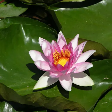 Haus Seeblick Am تيرسي