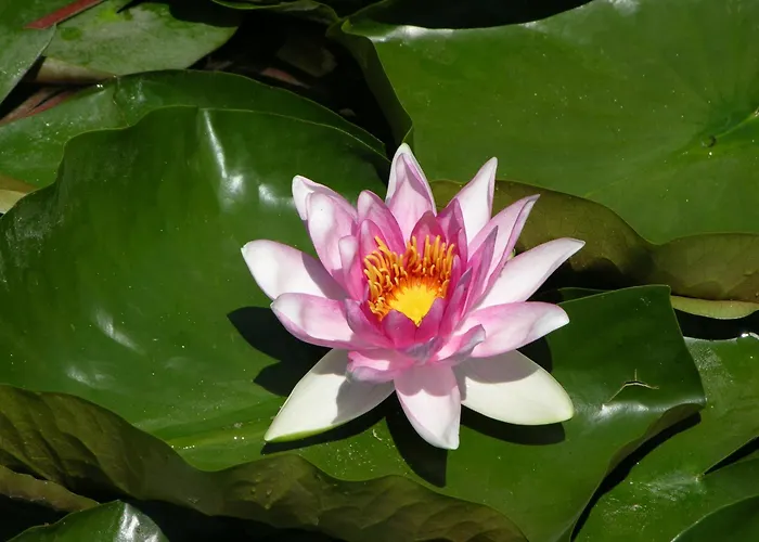 Haus Seeblick Am تيرسي