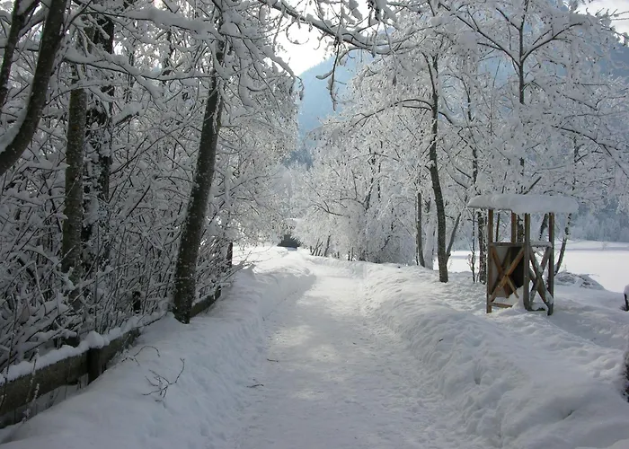 Haus Seeblick Apartment